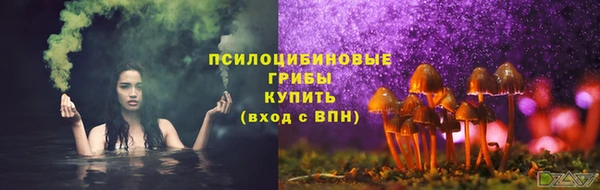 гашик Алексин