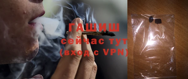 гашик Алексин