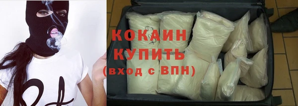 гашик Алексин