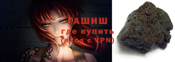 гашик Алексин