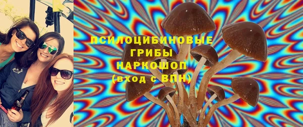 шишки Алзамай
