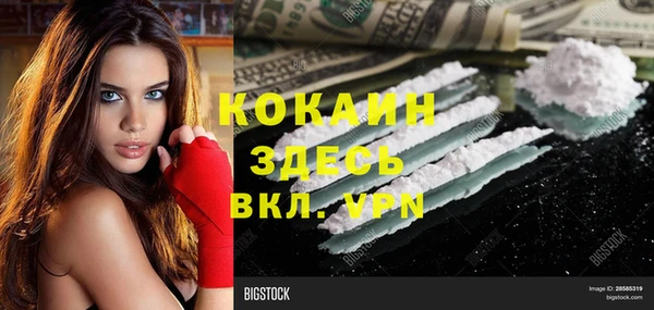 шишки Алзамай