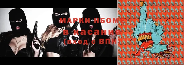 гашик Алексин