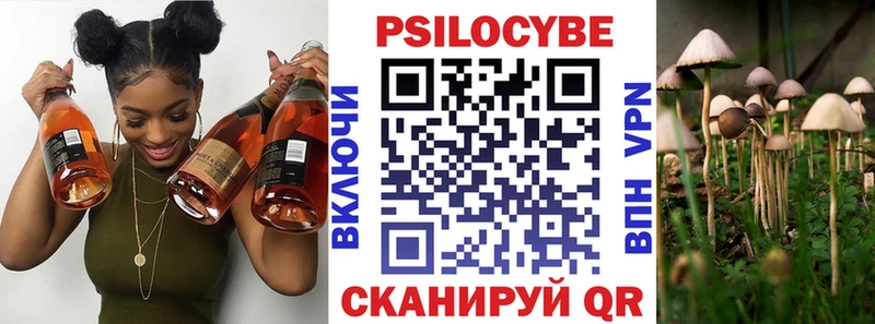 Псилоцибиновые грибы MAGIC MUSHROOMS  цена   Калач-на-Дону 
