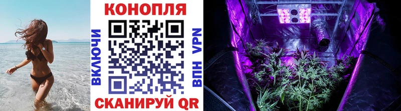 купить наркотики цена  Калач-на-Дону  Каннабис семена 